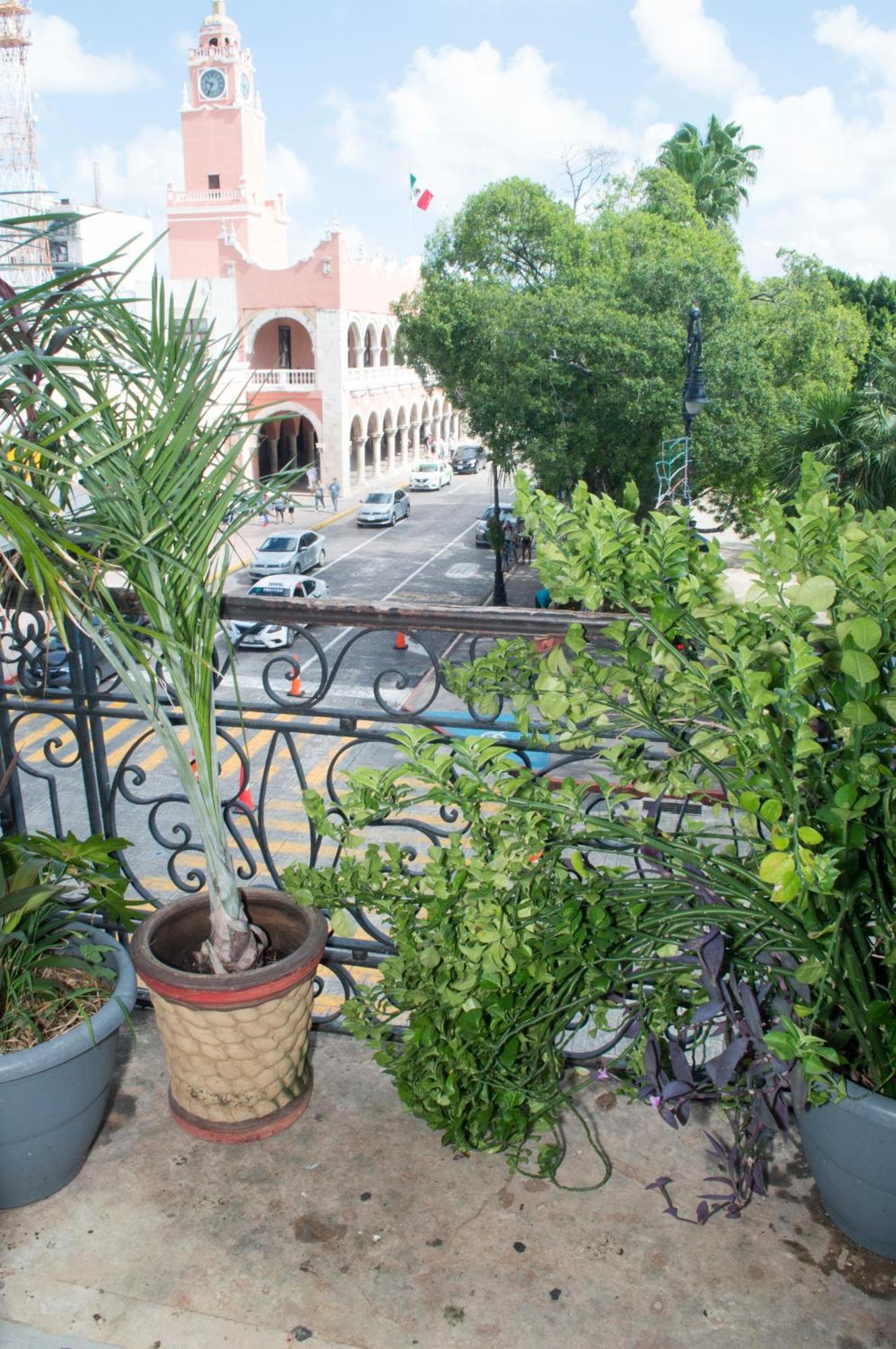Hostal Zocalo Hotel Merida Bagian luar foto